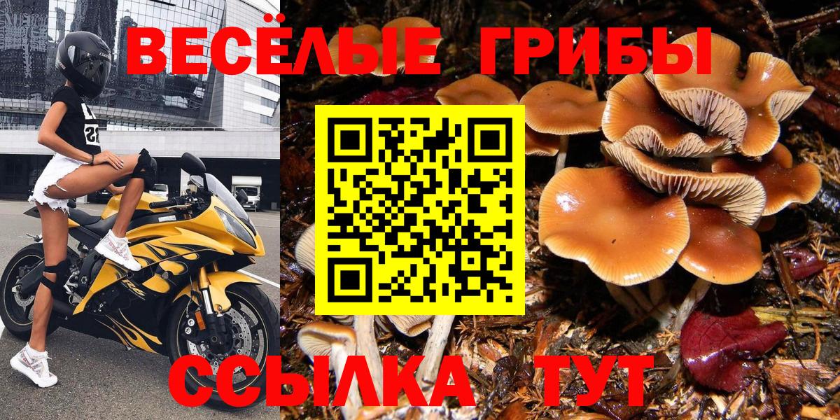 Галлюциногенные грибы MAGIC MUSHROOMS Южноуральск